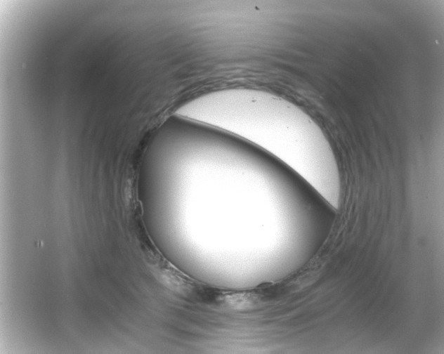 X0000066540417200603171100