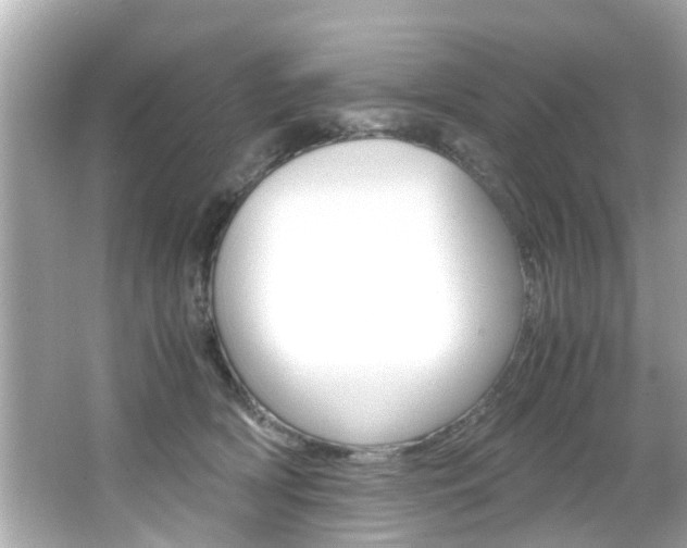 X0000066540418200603171100