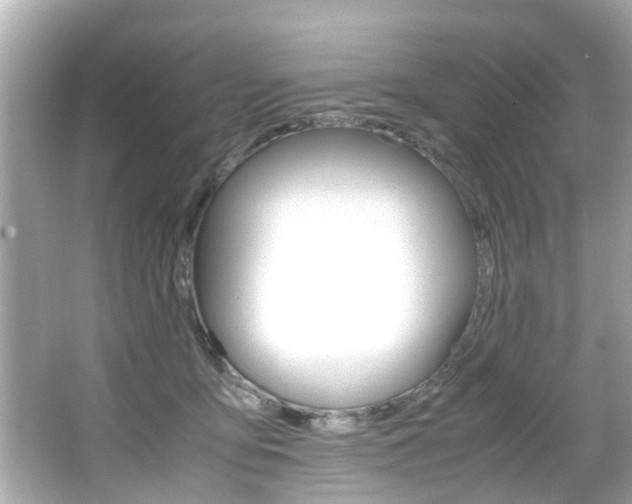 X0000066540419200603171100