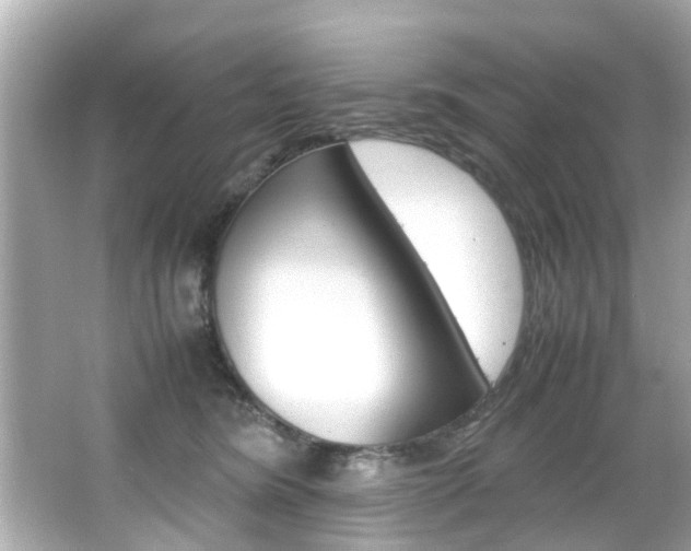 X0000066540420200603171100