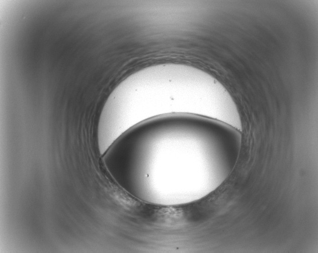 X0000066540421200603171100