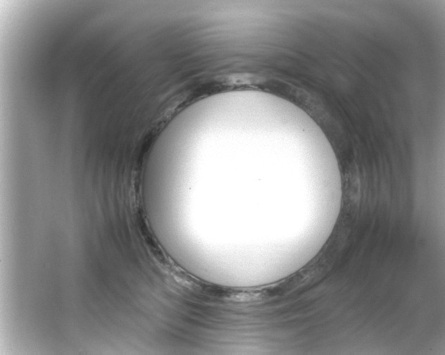 X0000066540422200603171100