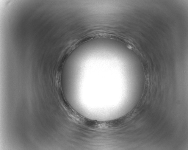 X0000066540423200603171100