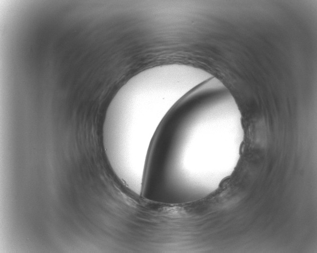 X0000066540424200603171100