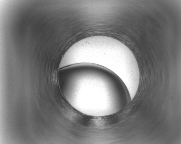 X0000066540425200603171100