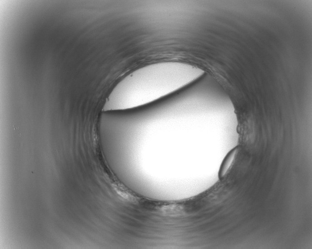 X0000066540426200603171100