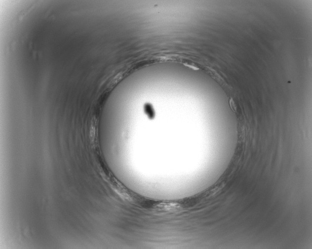 X0000066540427200603171100