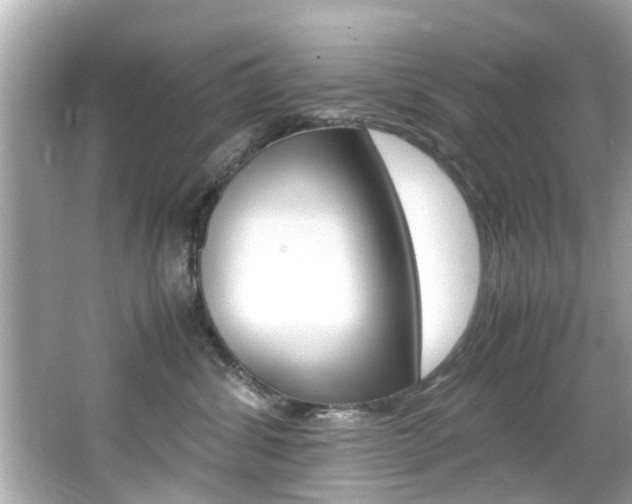 X0000066540428200603171100