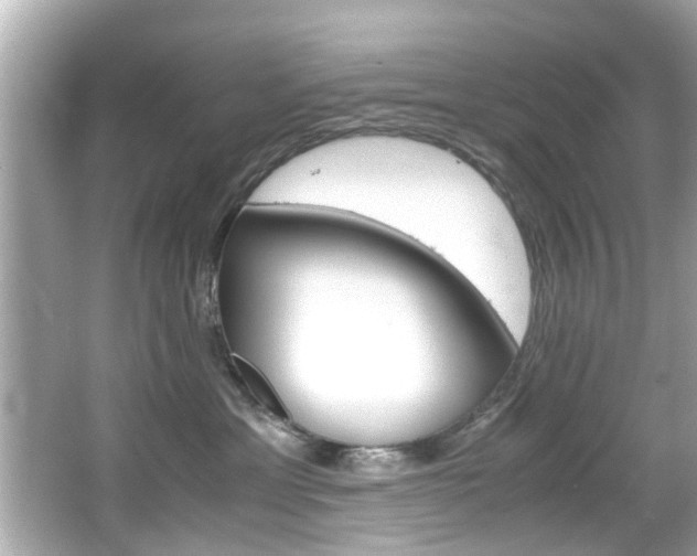 X0000066540429200603171100