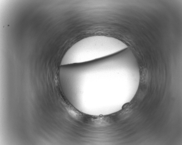 X0000066540430200603171100