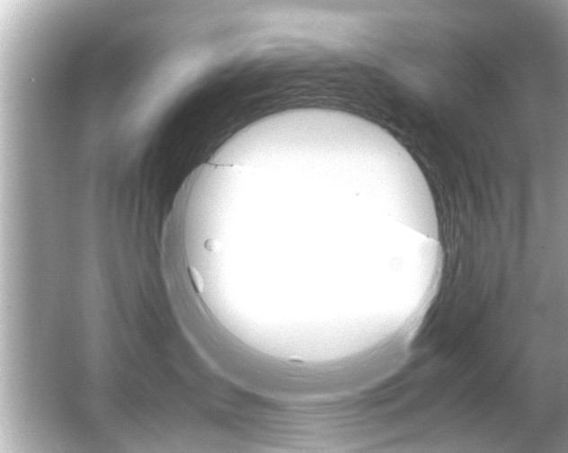 X0000066540431200603171100