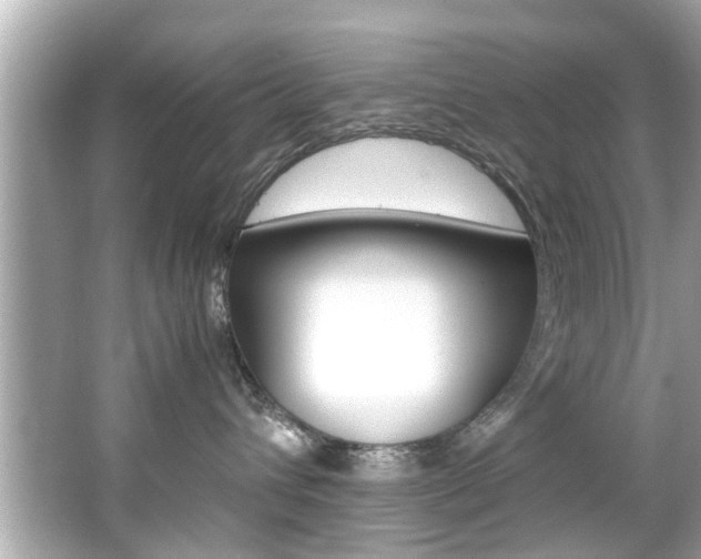 X0000066540432200603171100