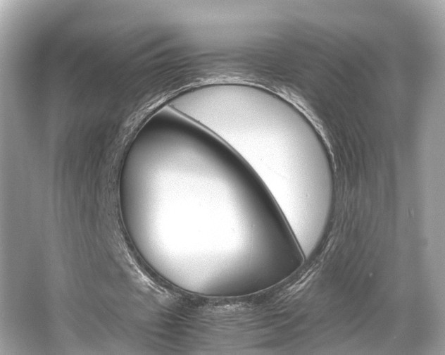 X0000066540433200603171059