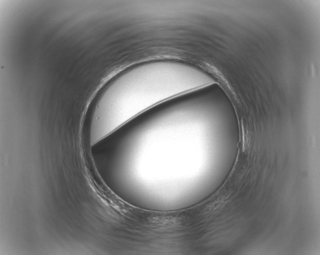 X0000066540435200603171059