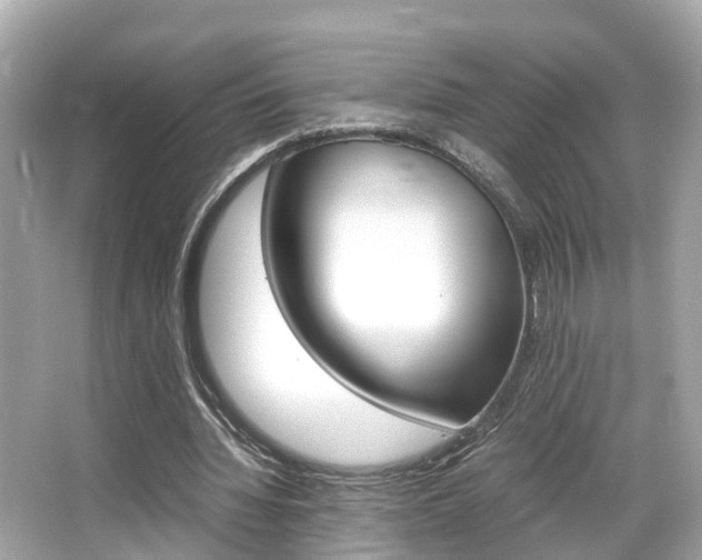 X0000066540436200603171059