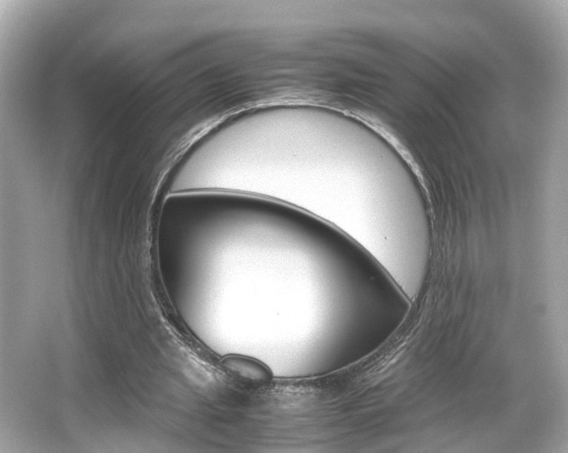 X0000066540437200603171059