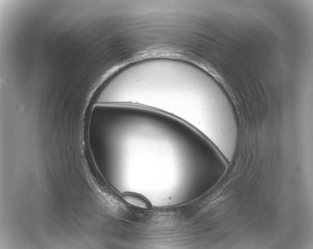 X0000066540438200603171059