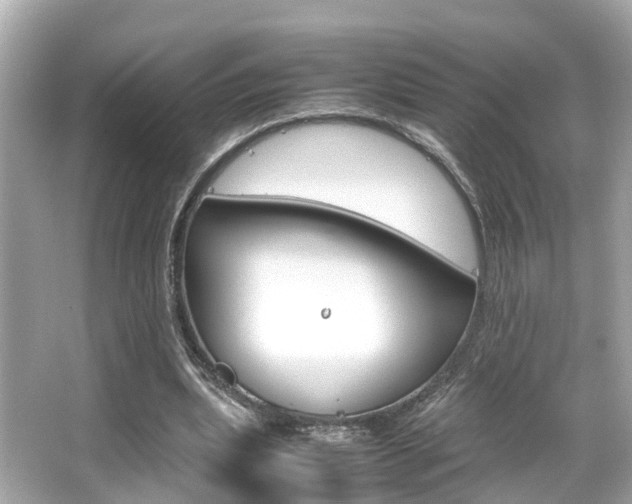 X0000066540439200603171059