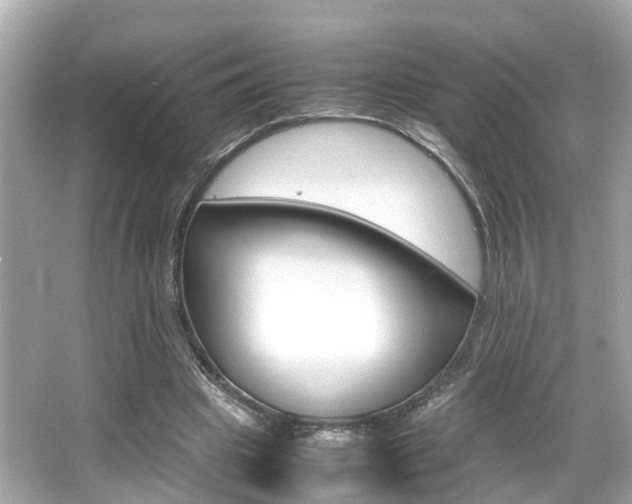 X0000066540441200603171059