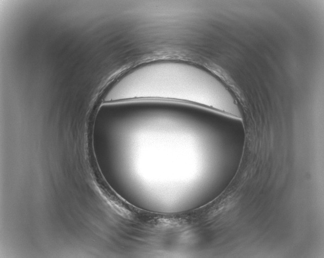 X0000066540442200603171059