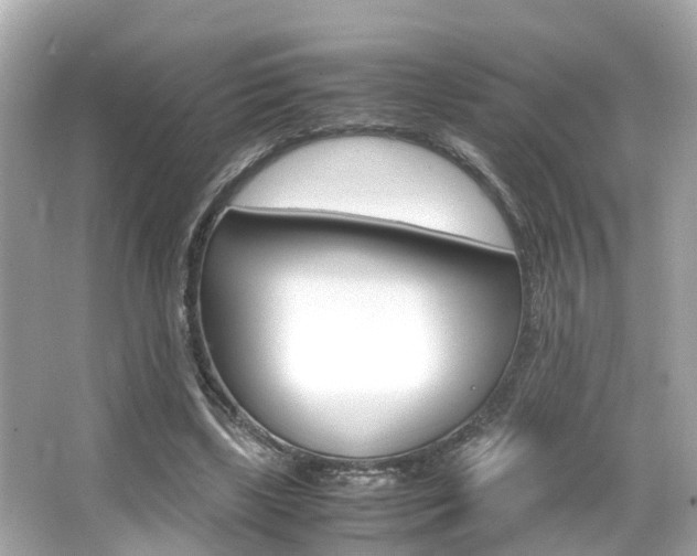 X0000066540443200603171059