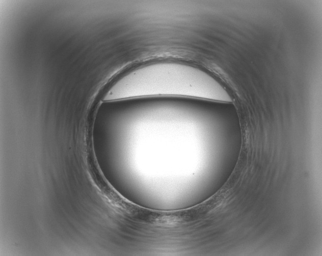 X0000066540444200603171059