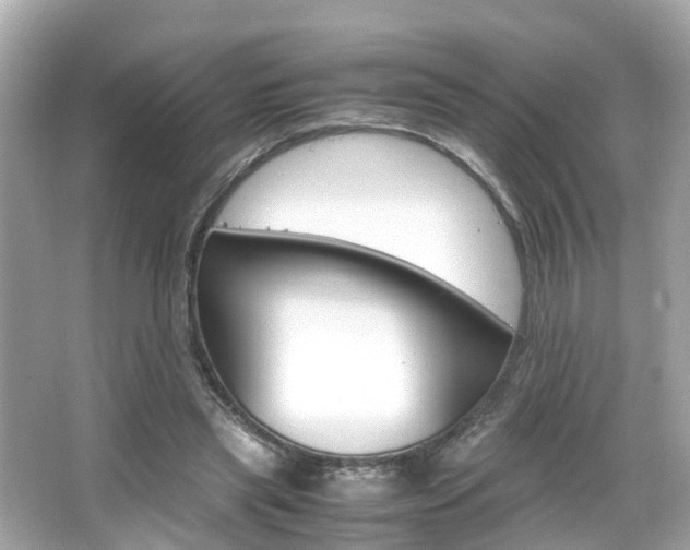 X0000066540445200603171059