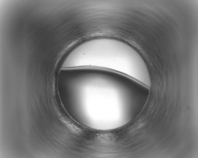 X0000066540446200603171059