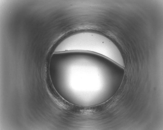 X0000066540448200603171059