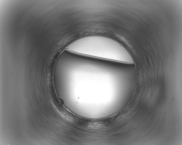 X0000066540451200603171059