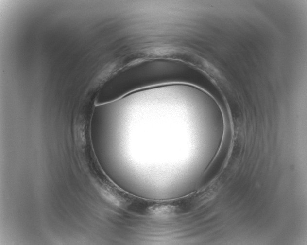 X0000066540452200603171059