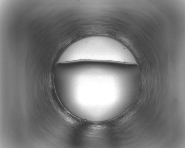 X0000066540453200603171059