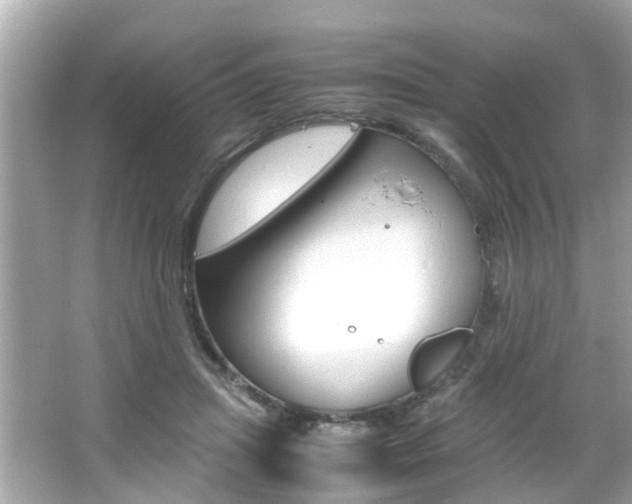 X0000066540455200603171059