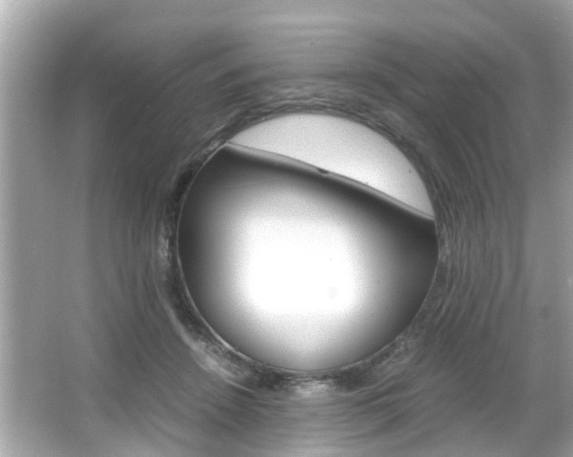 X0000066540456200603171059