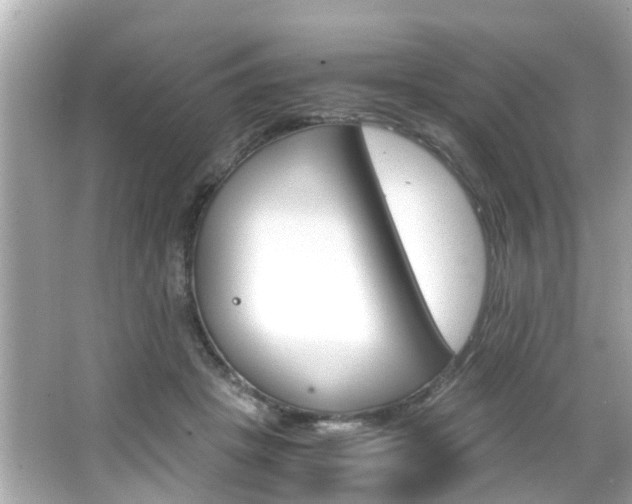 X0000066540457200603171059