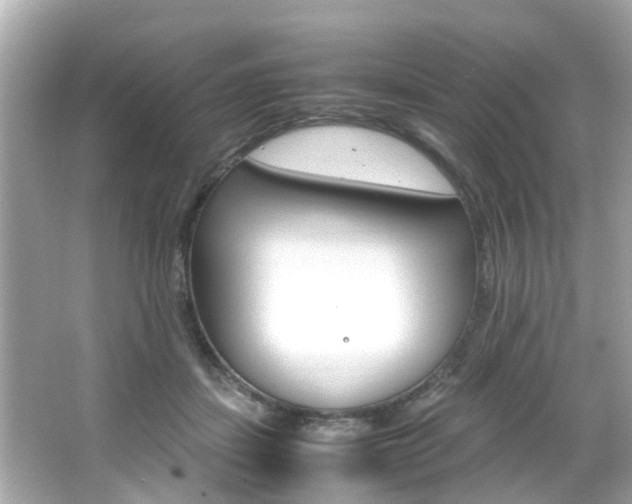 X0000066540459200603171059