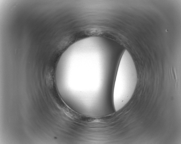 X0000066540460200603171059