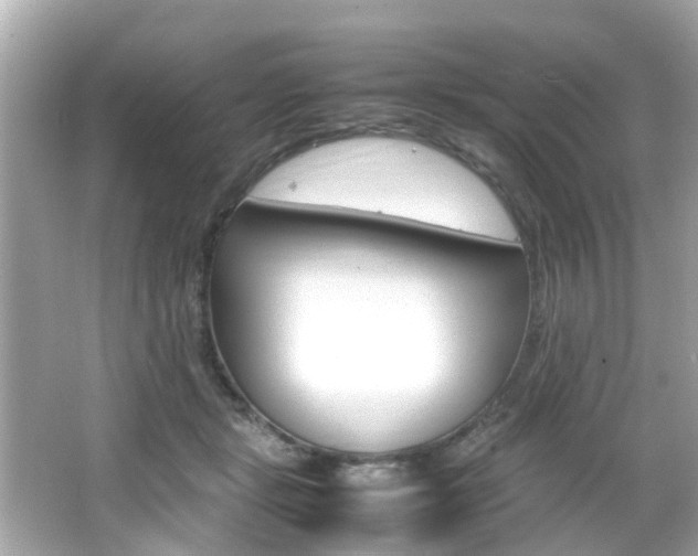 X0000066540461200603171059