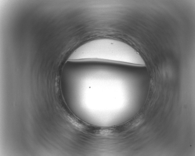 X0000066540462200603171059