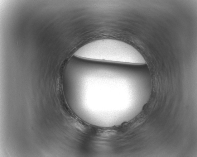 X0000066540463200603171059