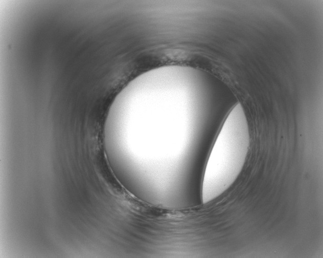 X0000066540464200603171059