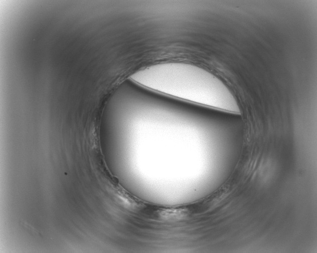 X0000066540465200603171100