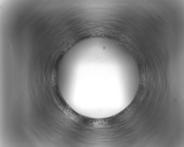 X0000066540468200603171100