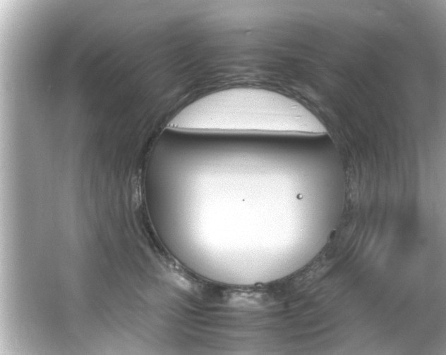 X0000066540471200603171100