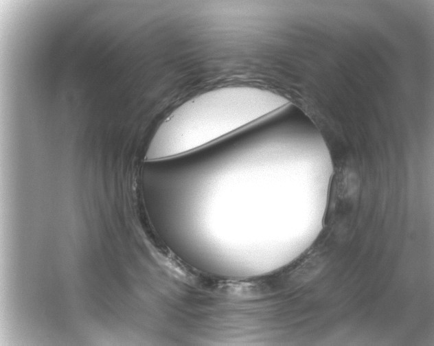 X0000066540472200603171100