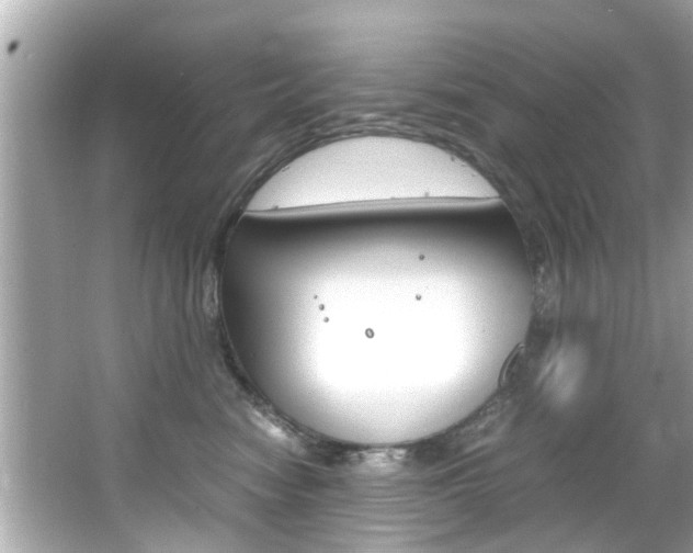 X0000066540474200603171100