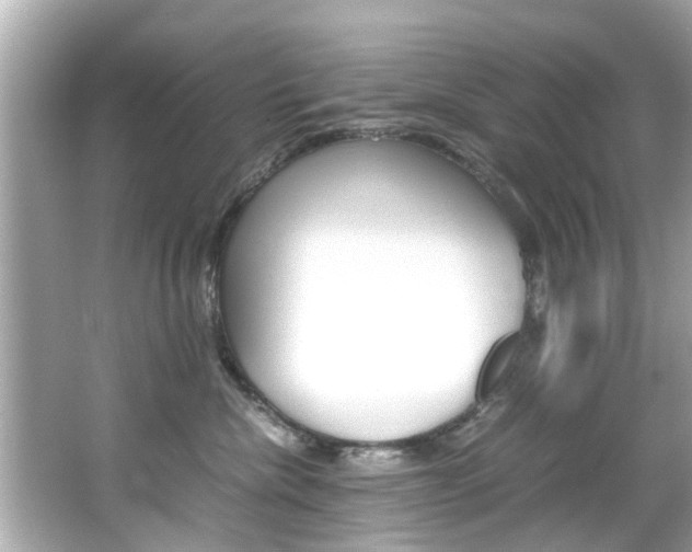 X0000066540476200603171100