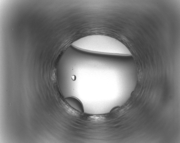 X0000066540477200603171100