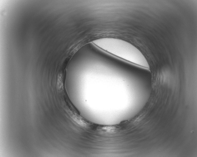 X0000066540478200603171100