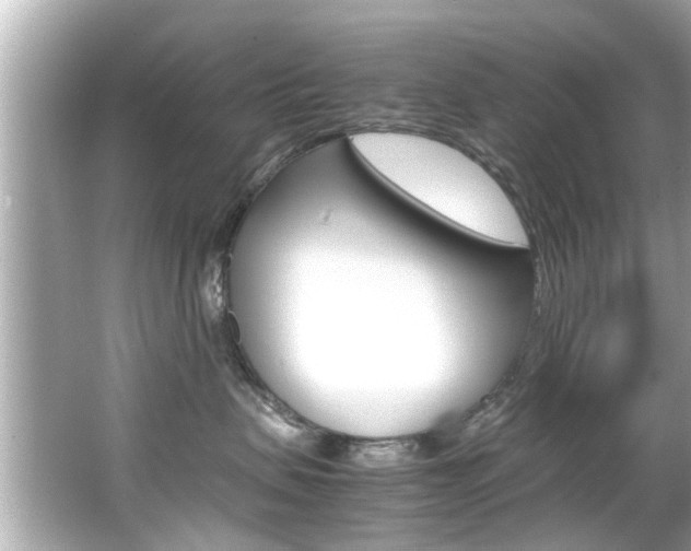 X0000066540479200603171100